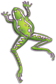 Frog Image